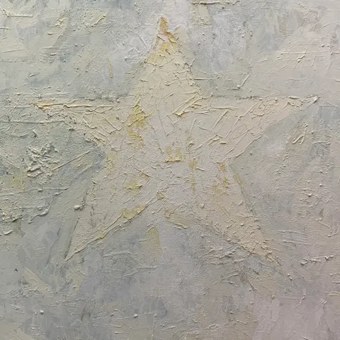 Biała gwiazda, z cyklu The Flag