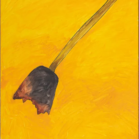 Afrykański szpadel