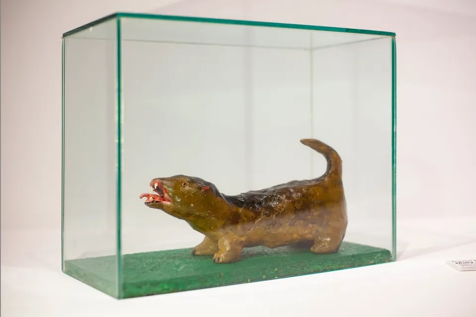 “We and dogs, dogs and us” — exhibition at the State Art Gallery in Sopot