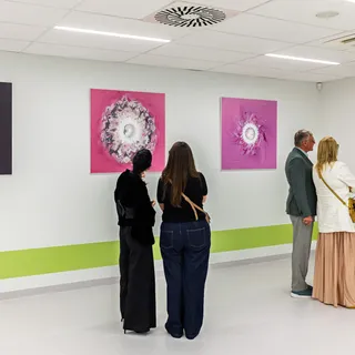 Exhibition: DIGNITAS HOMINIS, or Exercises in Pain and Suffering for Artificial Intelligence