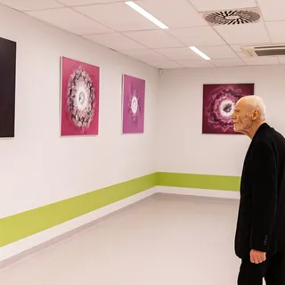 Exhibition: DIGNITAS HOMINIS, or Exercises in Pain and Suffering for Artificial Intelligence