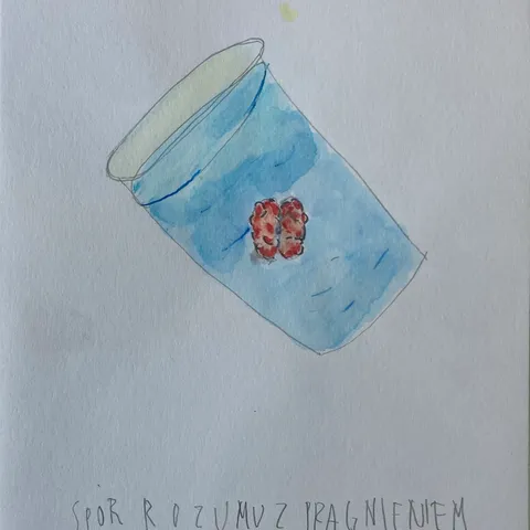 Spór rozumu z pragnieniem