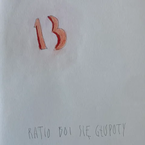 Ratio boi się głupoty