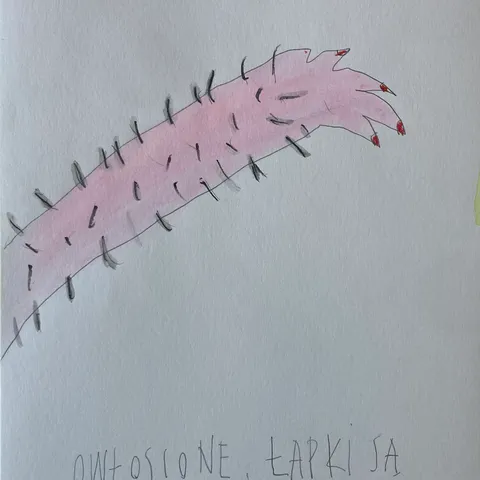 Owłosione łapki są jednak nieśmiertelne
