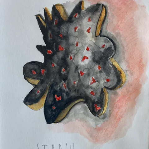 Strach