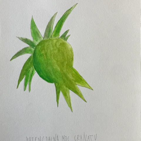 Potencjalna moc granatu