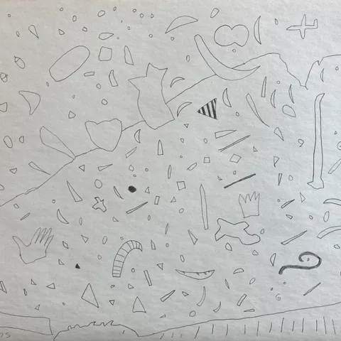 Chaos