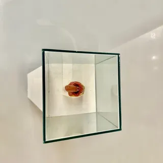 Opening of the permanent collection display: Ways of Seeing. The Muzeum Sztuki Collection in Łódź